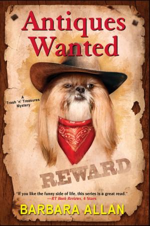 Cover of the book Antiques Wanted by Lindsey Palmer