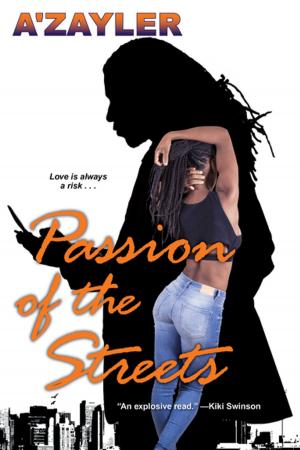 Cover of the book Passion of the Streets by Kiki Swinson, Noire