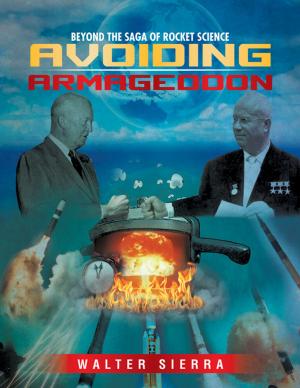 bigCover of the book Avoiding Armageddon by 