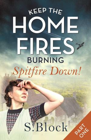 Cover of the book Keep the Home Fires Burning by Inge Löhnig