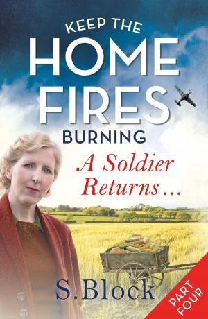 Cover of the book Keep the Home Fires Burning by CJ Carver