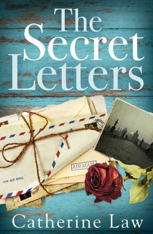 Book cover of The Secret Letters