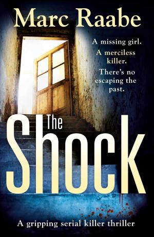 Cover of the book The Shock by Martin Krist