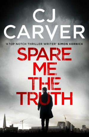 Cover of the book Spare Me the Truth by Inge Löhnig