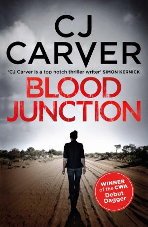 Book cover of Blood Junction