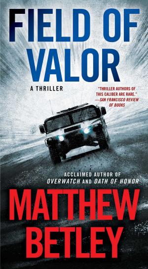 Cover of the book Field of Valor by Vince Flynn