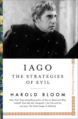 Cover of the book Iago by Megan Mayhew Bergman