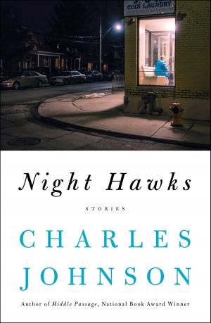 Cover of the book Night Hawks by Chuck Klosterman