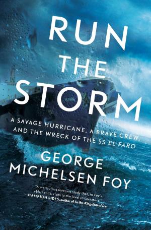 Book cover of Run the Storm