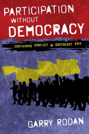 Cover of the book Participation without Democracy by David A. Lake