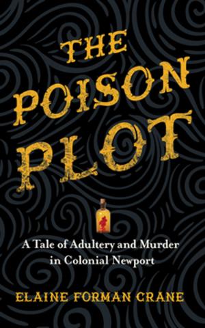 Cover of the book The Poison Plot by Suzanne Conklin Akbari