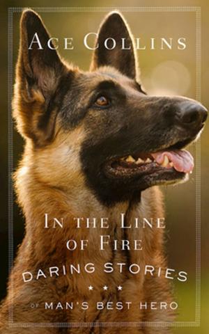 Cover of the book In the Line of Fire by Clifton F. Guthrie