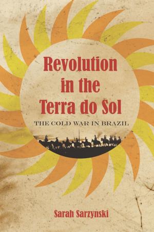 Cover of the book Revolution in the Terra do Sol by Vedi Hadiz