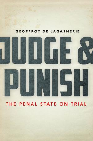 Cover of the book Judge and Punish by Paul-Brian McInerney