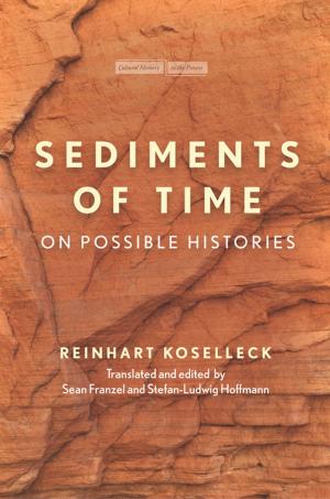Cover of the book Sediments of Time by Eyal Peretz