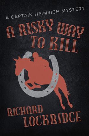 Cover of the book A Risky Way to Kill by Wilkie Martin