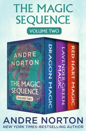 bigCover of the book The Magic Sequence Volume Two by 