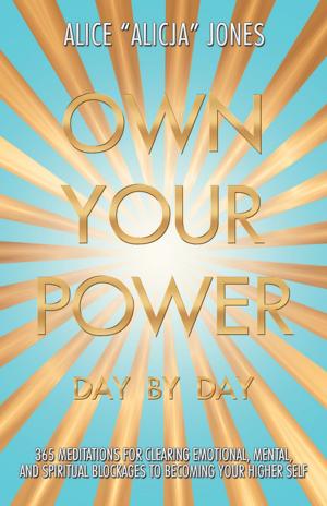 Cover of the book Own Your Power by H.B. Tawadi