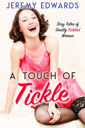 Book cover of A Touch of Tickle