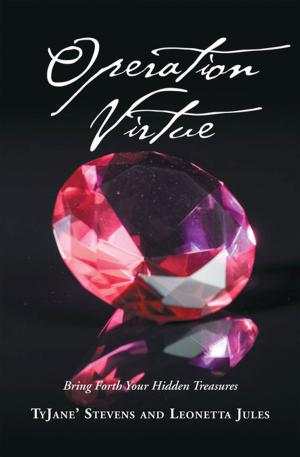 Cover of the book Operation Virtue by Nicole Thompson