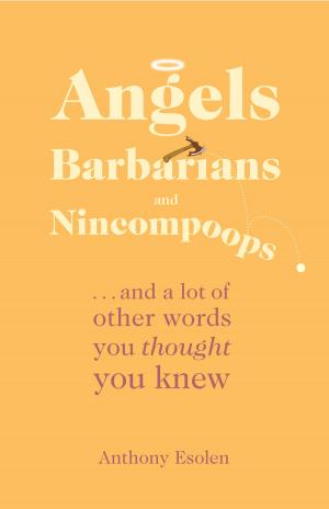 Book cover of Angels, Barbarians, and Nincompoops