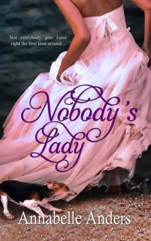 Cover of the book Nobody's Lady by Brenda  Huber
