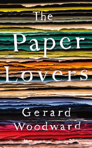 Cover of the book The Paper Lovers by Chris Riddell