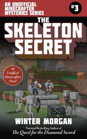 Cover of the book The Skeleton Secret by Robert Hunton