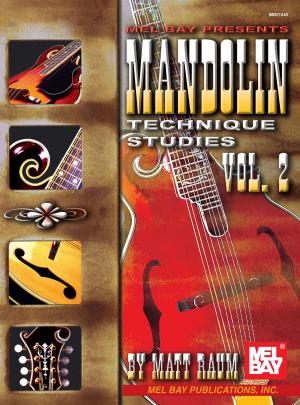 Cover of the book Mandolin Technique Studies, Vol. 2 by Stephen Bennett