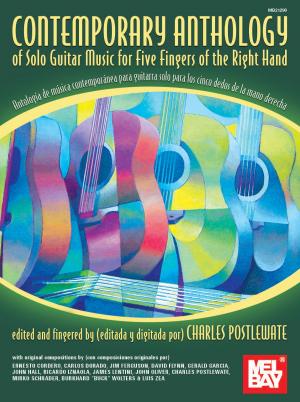 Cover of the book Contemporary Anthology of Solo Guitar Music by Ari Hoenig, Johannes Weidenmüller