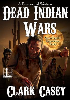 Cover of the book Dead Indian Wars by J.A. Kazimer