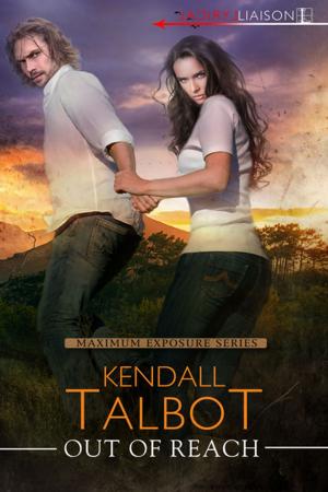 Cover of the book Out of Reach by K. Bromberg