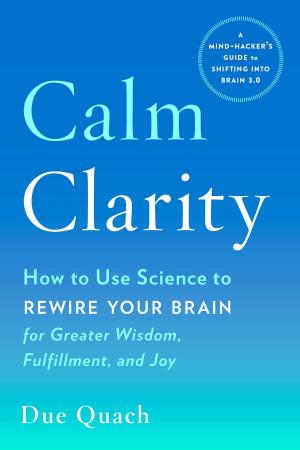 Cover of the book Calm Clarity by Stuart Horwitz