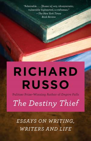 Cover of the book The Destiny Thief by Rebecca Harrington