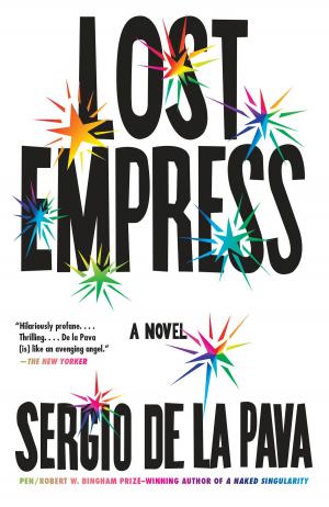 Cover of the book Lost Empress by Geoff Dyer