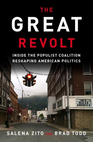 Cover of the book The Great Revolt by David Noel Freedman