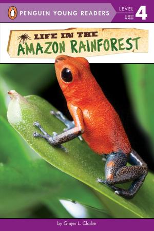 Book cover of Life in the Amazon Rainforest