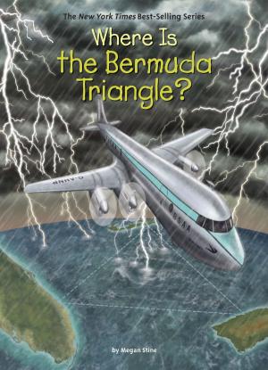 Book cover of Where Is the Bermuda Triangle?