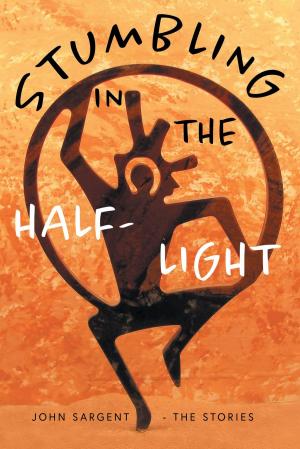 Book cover of Stumbling in the Half-Light