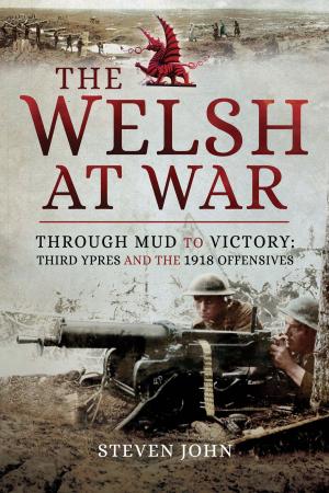 Cover of the book The Welsh at War by Lucinda  Moore