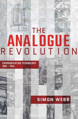 bigCover of the book The Analogue Revolution by 