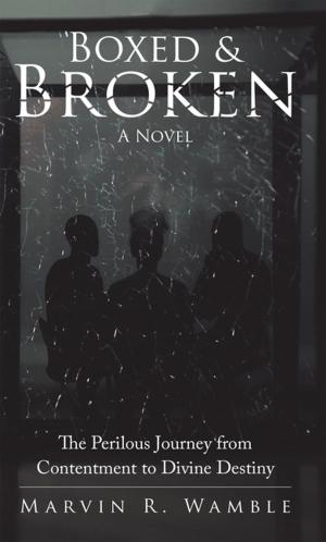Cover of the book Boxed & Broken by Tara Lang Chapman