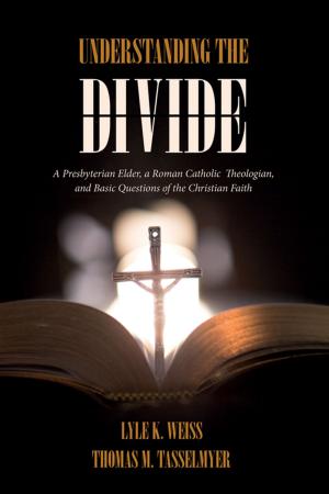 Cover of the book Understanding the Divide by William A. Dyrness