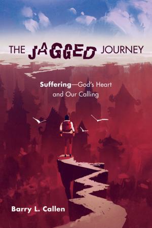 bigCover of the book The Jagged Journey by 
