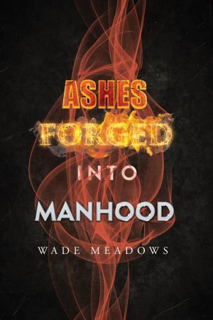 Cover of the book Ashes Forged into Manhood by Sean Conroy