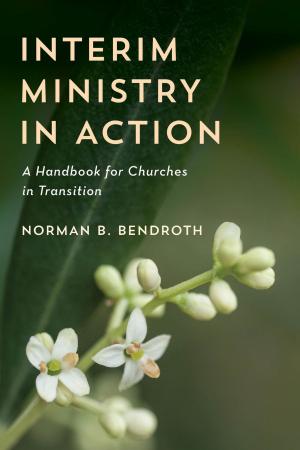 Cover of the book Interim Ministry in Action by Christopher M. Cicconi