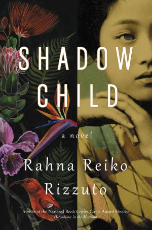 Book cover of Shadow Child