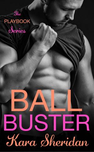 Cover of the book Ball Buster by Erik Zvanitajs