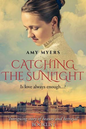 bigCover of the book Catching the Sunlight by 