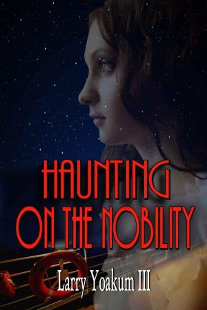 Book cover of Haunting On The Nobility